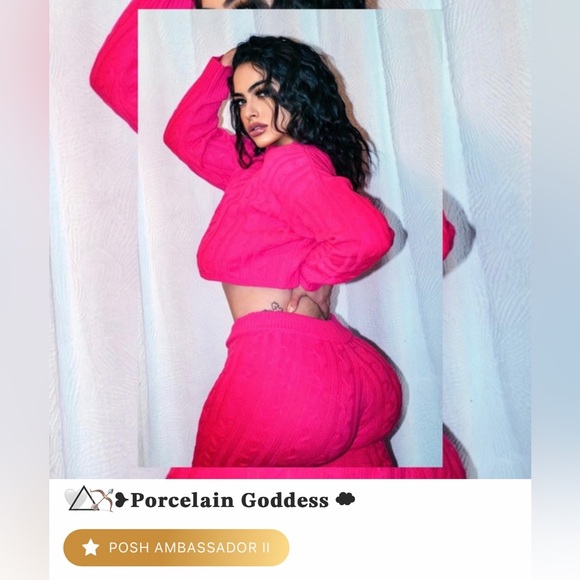 Meet your Posher ❣︎ ˚₊· ͟͟͞͞➳❥ 𝐏𝐨𝐬𝐡 𝐀𝐦𝐛𝐚𝐬𝐬𝐚𝐝𝐨𝐫 𝐈𝐈 - Picture 1 of 17